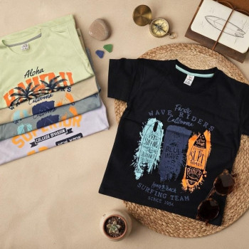REMERA NIÑO C/ ESTAMPADA CAMI M/C T.4 AL 16