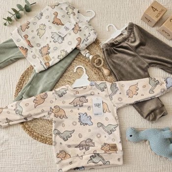CONJUNTO PLUSH BUZO ESTAMPADO DINO + BABUCHA LISA 9/12 AL 36
