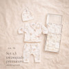 SET CAJITA PREMATURO BODY + GORRO +PANTALON T.000/00/0